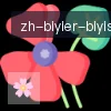 B体育 logo